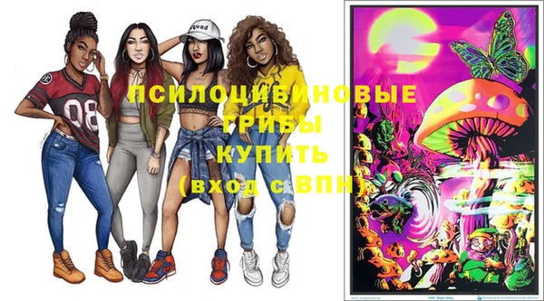 бошки Абинск