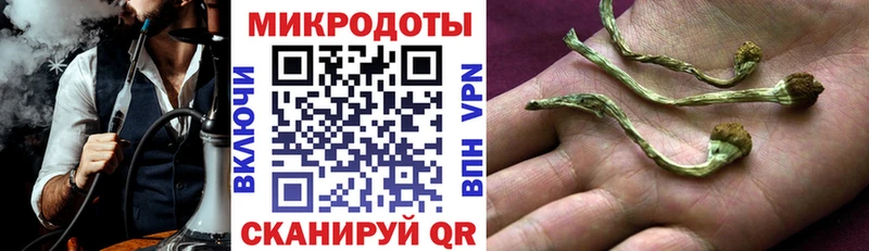 Галлюциногенные грибы мицелий  Таштагол 